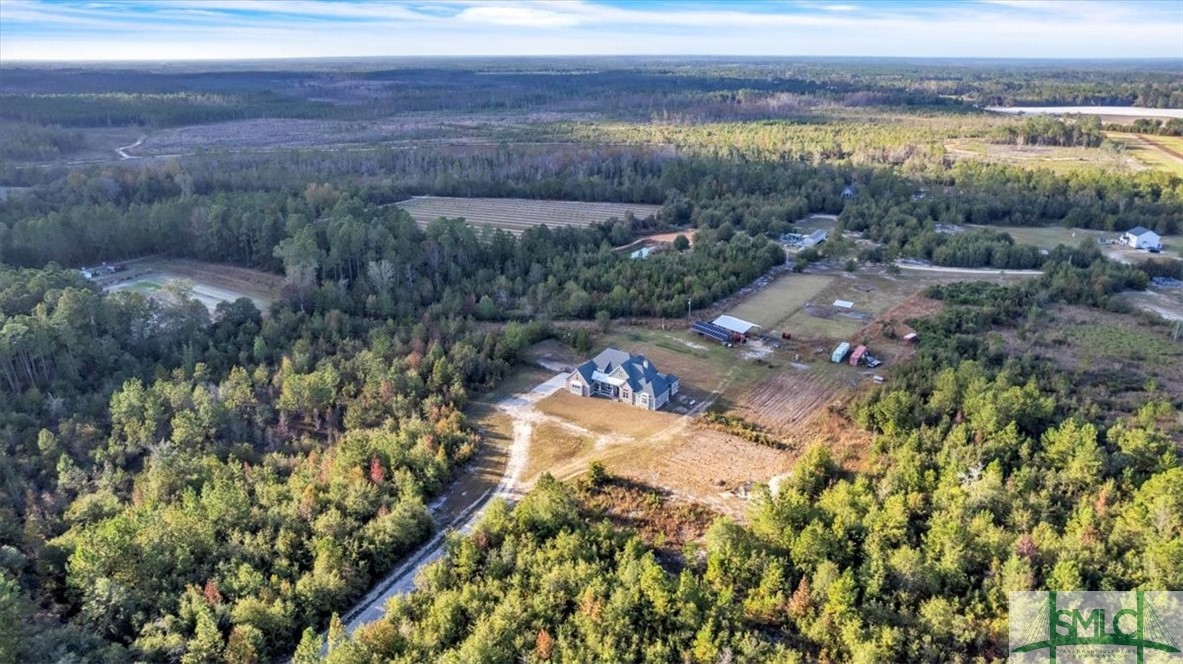 1495 Lillie Hagan Road Brooklet, GA 30415 - Photo 12 of 50