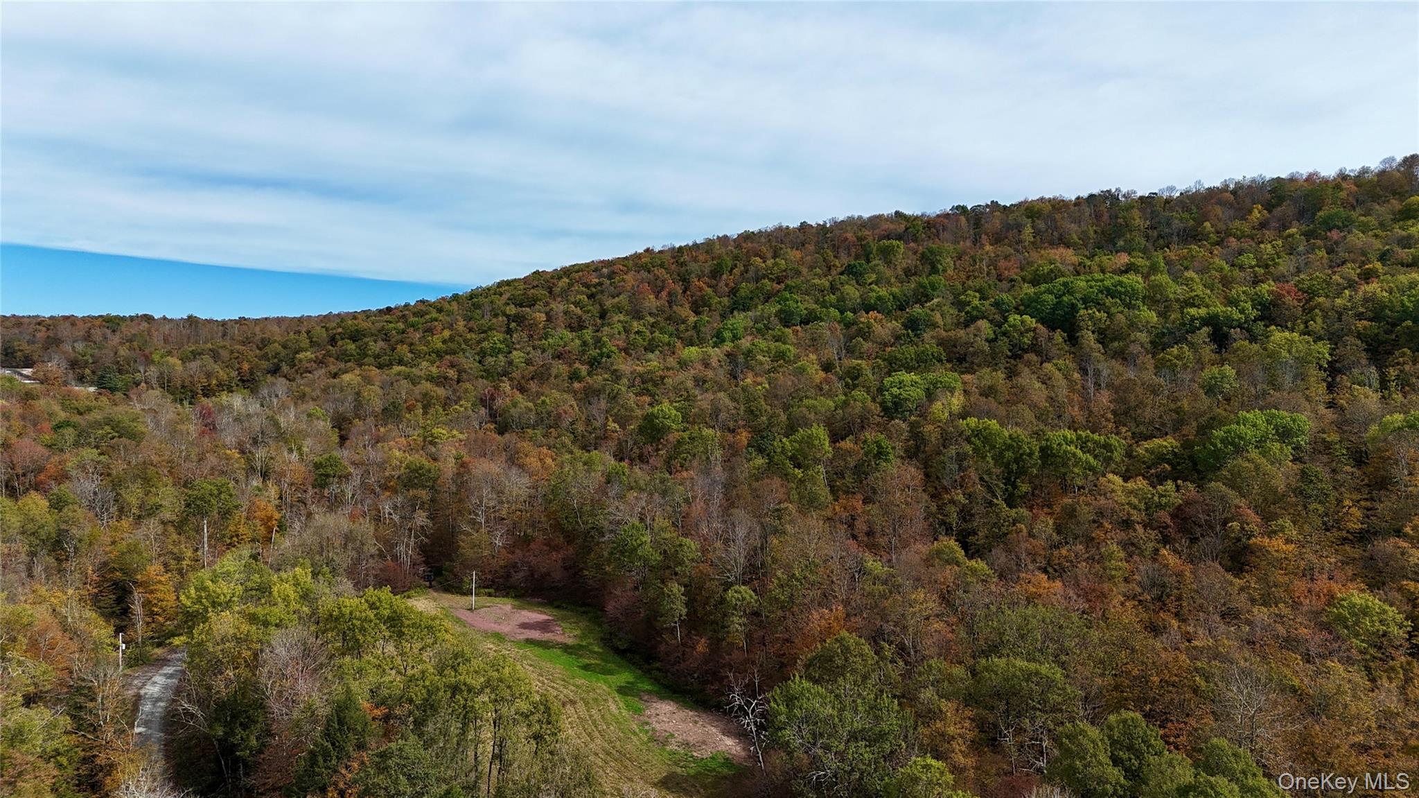 216 Neer Road Long Eddy, NY 12760 - Photo 14 of 48