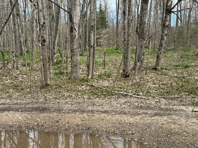 0 West Tee Lake Road Germfask, MI 49836 - Photo 16 of 29 Gallery Image 16