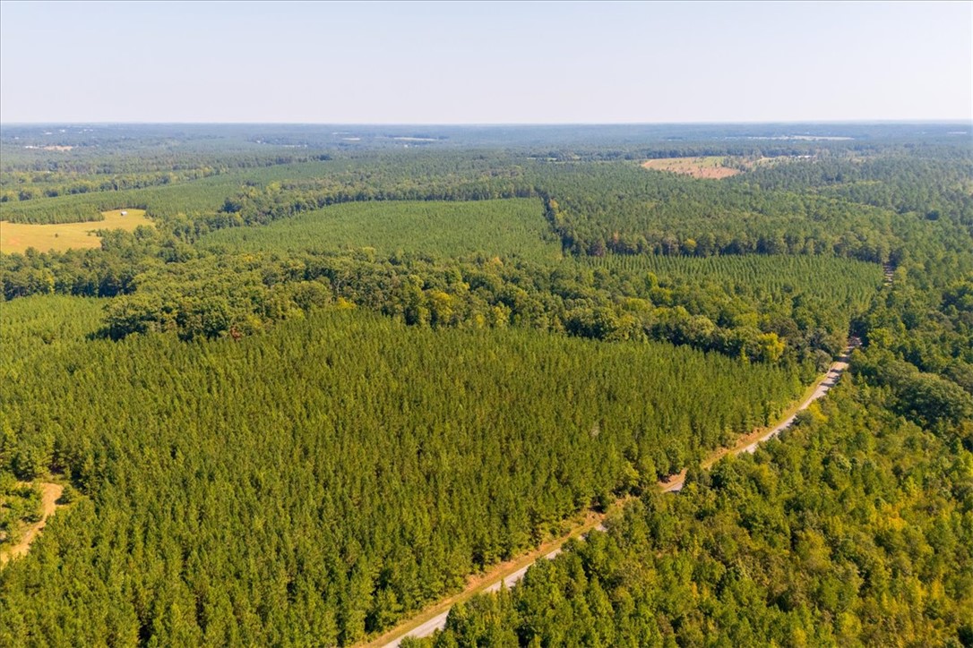 79.87-ac Sam Turner Road Iva, SC 29655 - Photo 17 of 18 Gallery Image 17