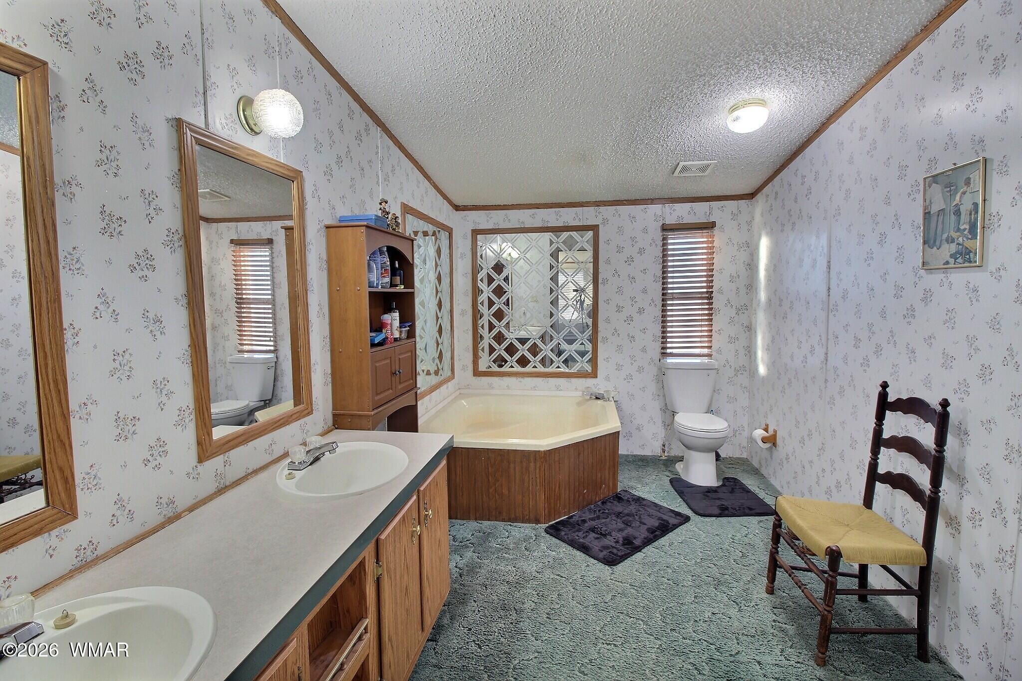 4710 Hay Hollow Road Snowflake, AZ 85937 - Photo 8 of 20 a spacious bathroom with a granite countertop tub sink and mirror