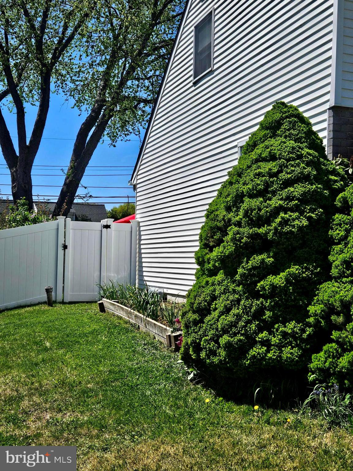 356 West Signal Hill Road King of Prussia, PA 19406 - Photo 26 of 28 a view of a backyard with plants and a large tree