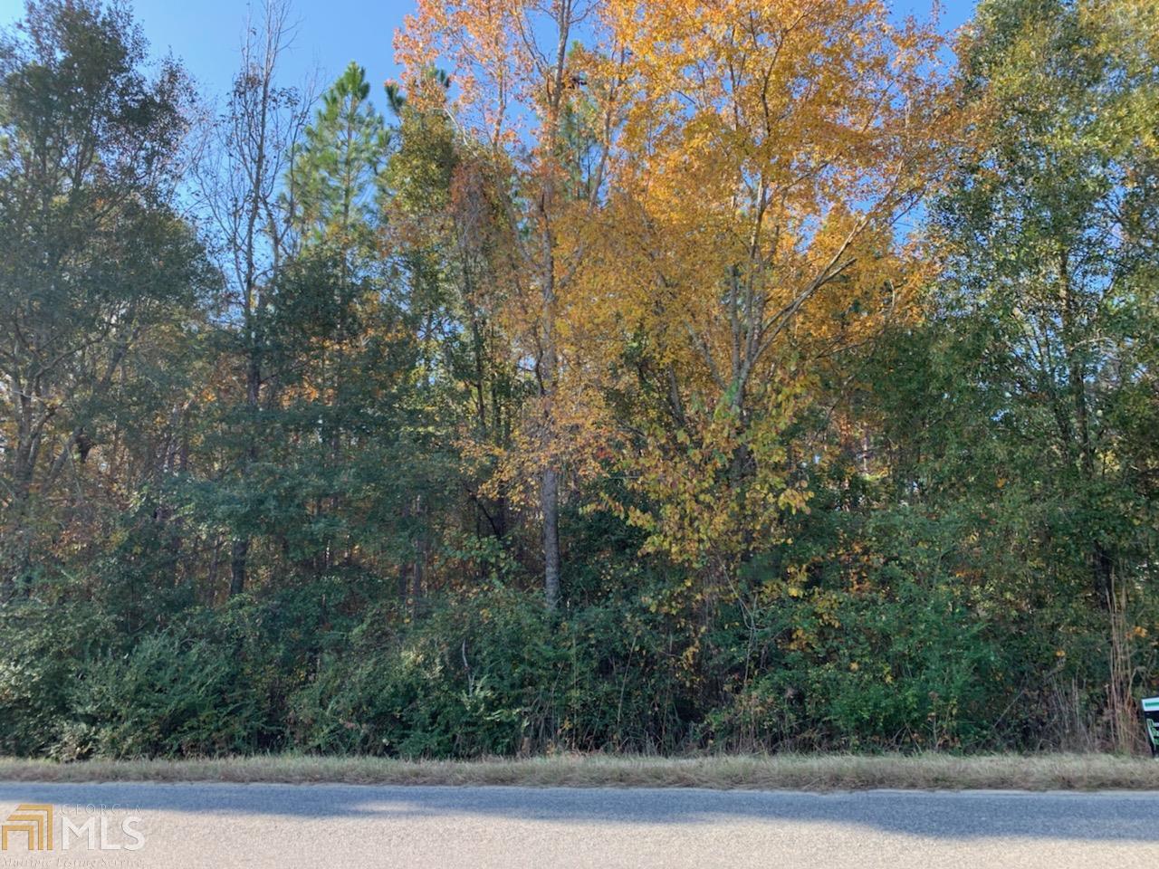 0 Wpa Road Eastman, GA 31023 - Photo 1 of 1 Gallery Image 1