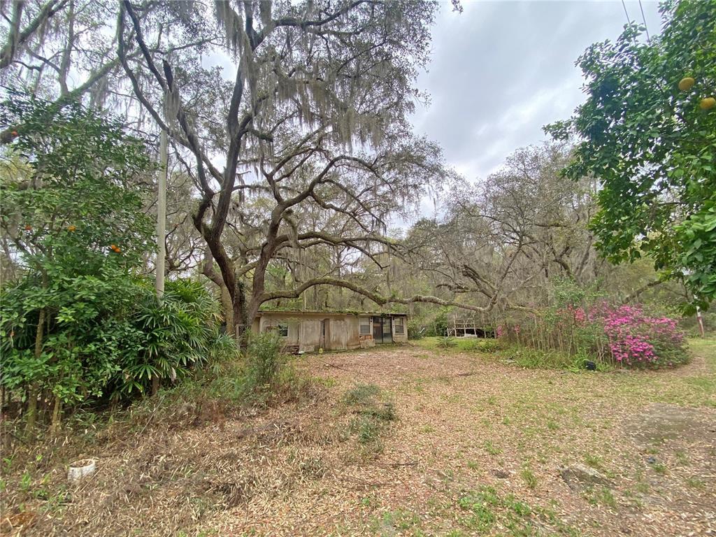 119 Twin Lakes Road Hawthorne, FL 32640 - Photo 16 of 66 a view of backyard of house with green space