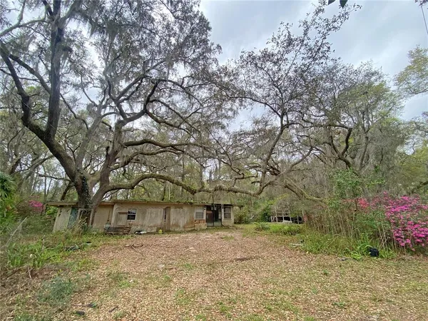 a view of a yard with a tree