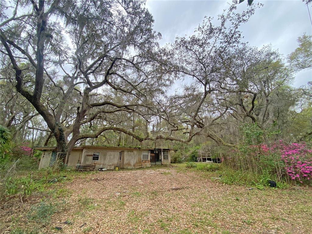 119 Twin Lakes Road Hawthorne, FL 32640 - Photo 17 of 66 a tree in front of a white house