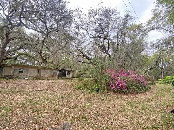 a view of house with a yard