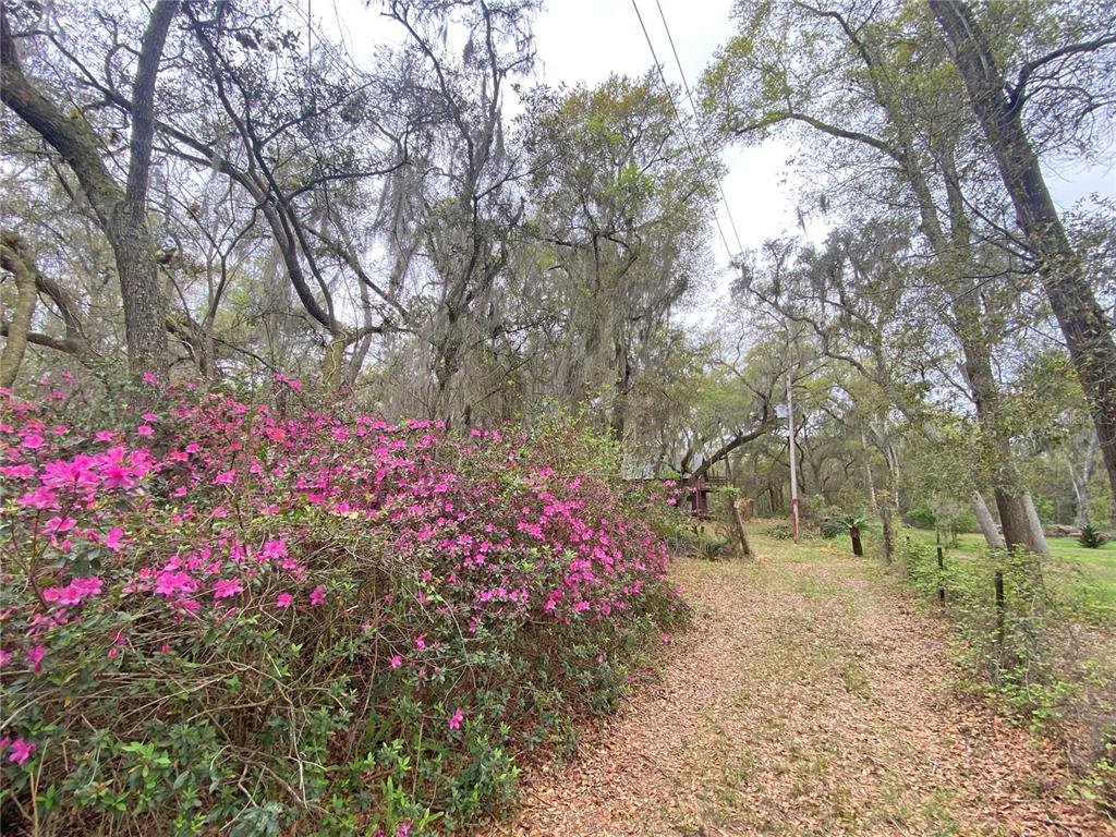 119 Twin Lakes Road Hawthorne, FL 32640 - Photo 19 of 66