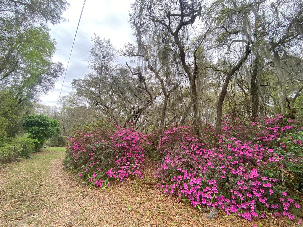 119 Twin Lakes Road Hawthorne, FL 32640 - Photo 20 of 66