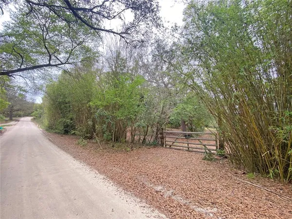 a view of backyard with green space