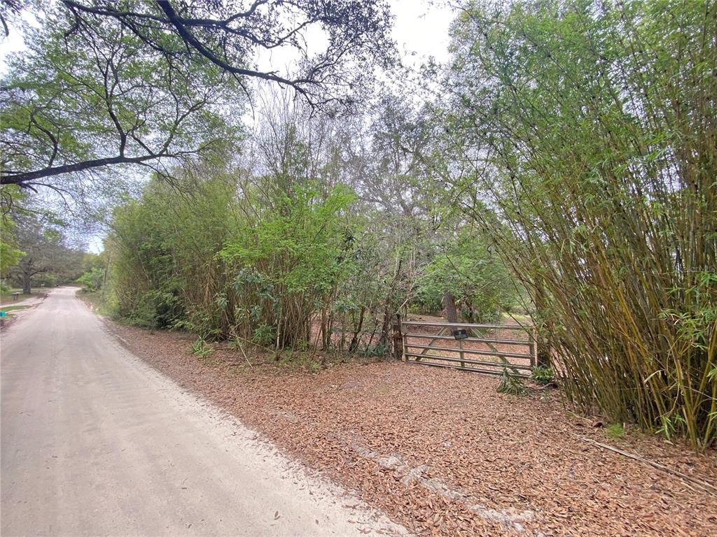 119 Twin Lakes Road Hawthorne, FL 32640 - Photo 2 of 66 a view of outdoor space and yard