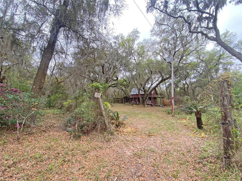 119 Twin Lakes Road Hawthorne, FL 32640 - Photo 22 of 66 a view of a yard with a tree