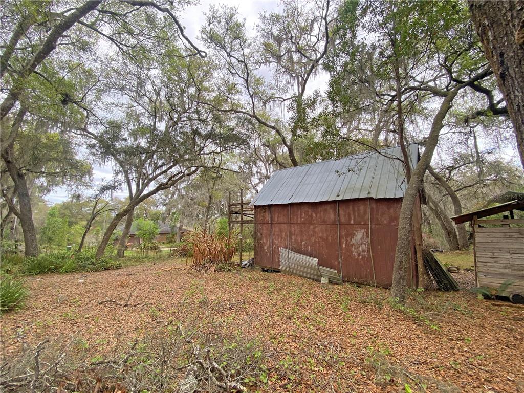 119 Twin Lakes Road Hawthorne, FL 32640 - Photo 28 of 66 a backyard of a house with a large tree