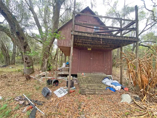 a view of a forest with trees