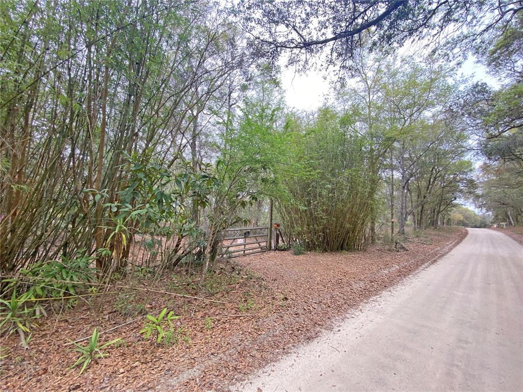 119 Twin Lakes Road Hawthorne, FL 32640 - Photo 3 of 66 a view of backyard with green space