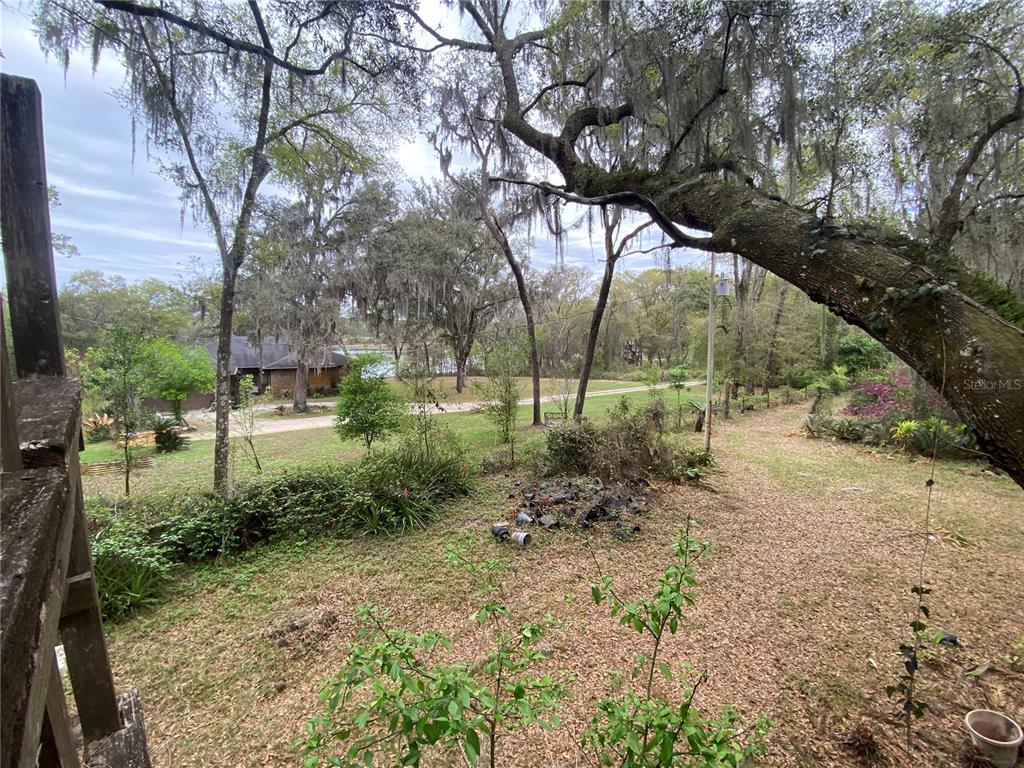 119 Twin Lakes Road Hawthorne, FL 32640 - Photo 35 of 66 a backyard of a house with lots of green space