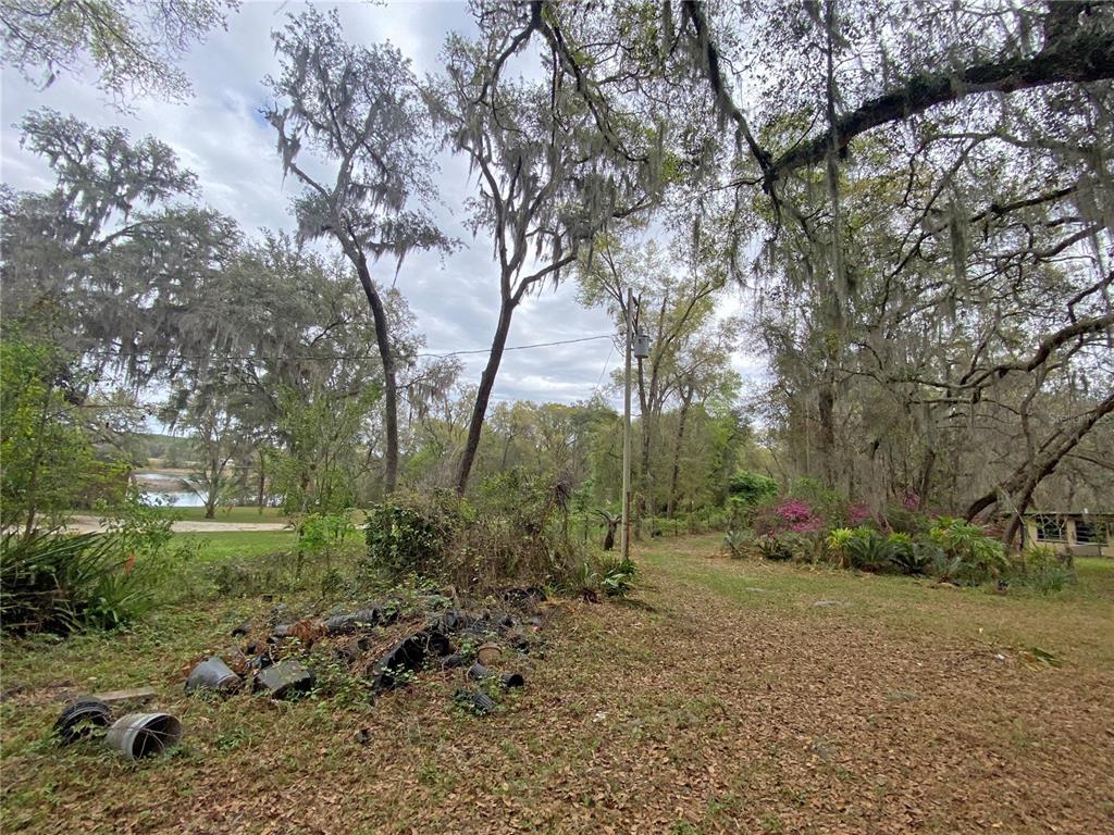 119 Twin Lakes Road Hawthorne, FL 32640 - Photo 36 of 66 a view of a forest with trees