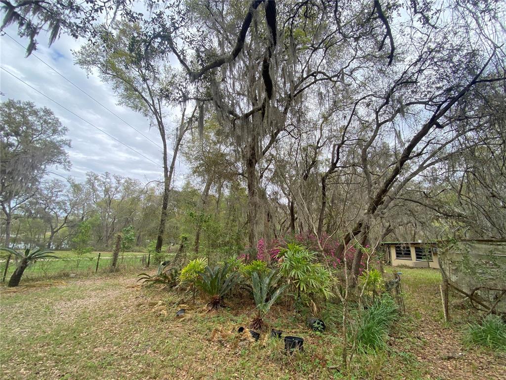 119 Twin Lakes Road Hawthorne, FL 32640 - Photo 39 of 66 a view of backyard with green space