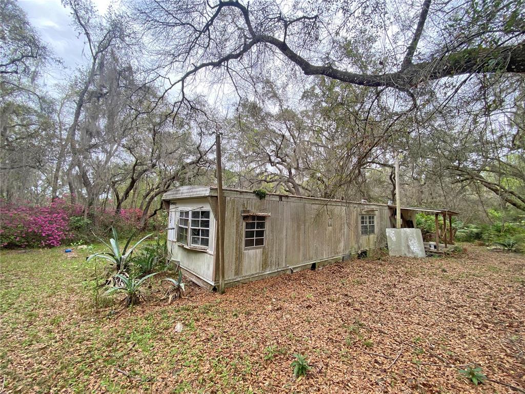 119 Twin Lakes Road Hawthorne, FL 32640 - Photo 41 of 66 a backyard of a house with plants and large tree