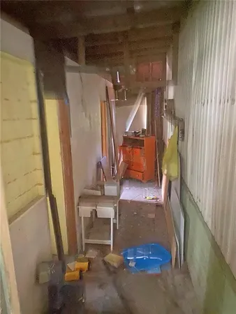 a view of a yard with plants and trees