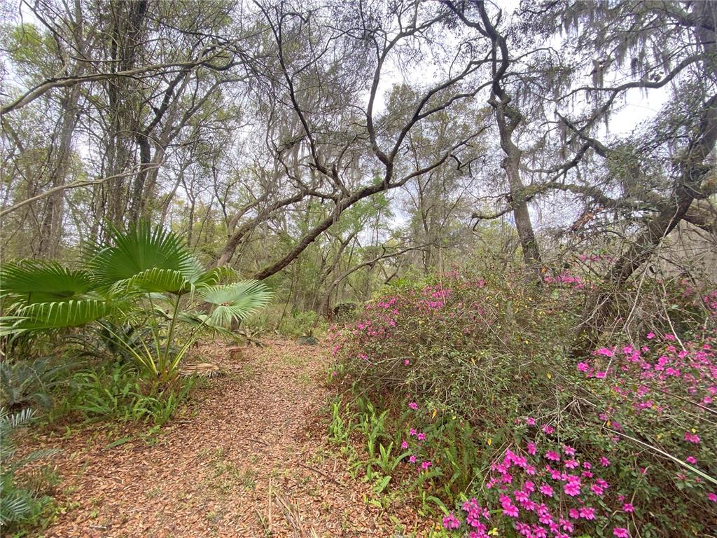 119 Twin Lakes Road Hawthorne, FL 32640 - Photo 58 of 66