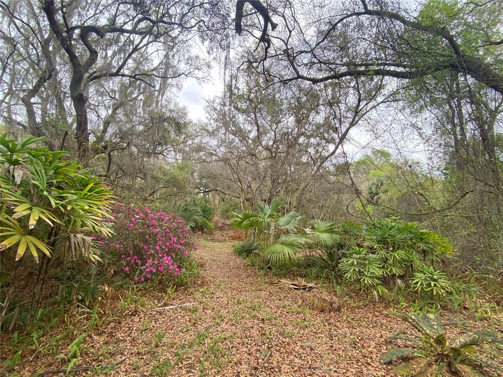 119 Twin Lakes Road Hawthorne, FL 32640 - Photo 59 of 66 a backyard of a house with a yard and outdoor seating