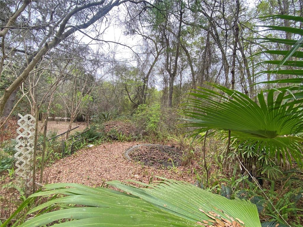 119 Twin Lakes Road Hawthorne, FL 32640 - Photo 60 of 66 a large green field with lots of bushes