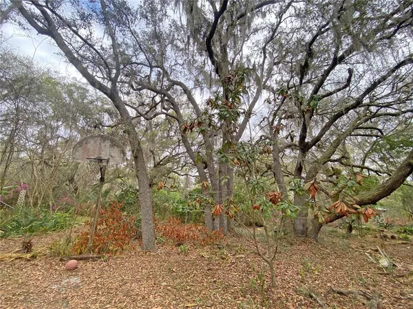 $125,000 | 119 Twin Lakes Road, Hawthorne, FL 32640