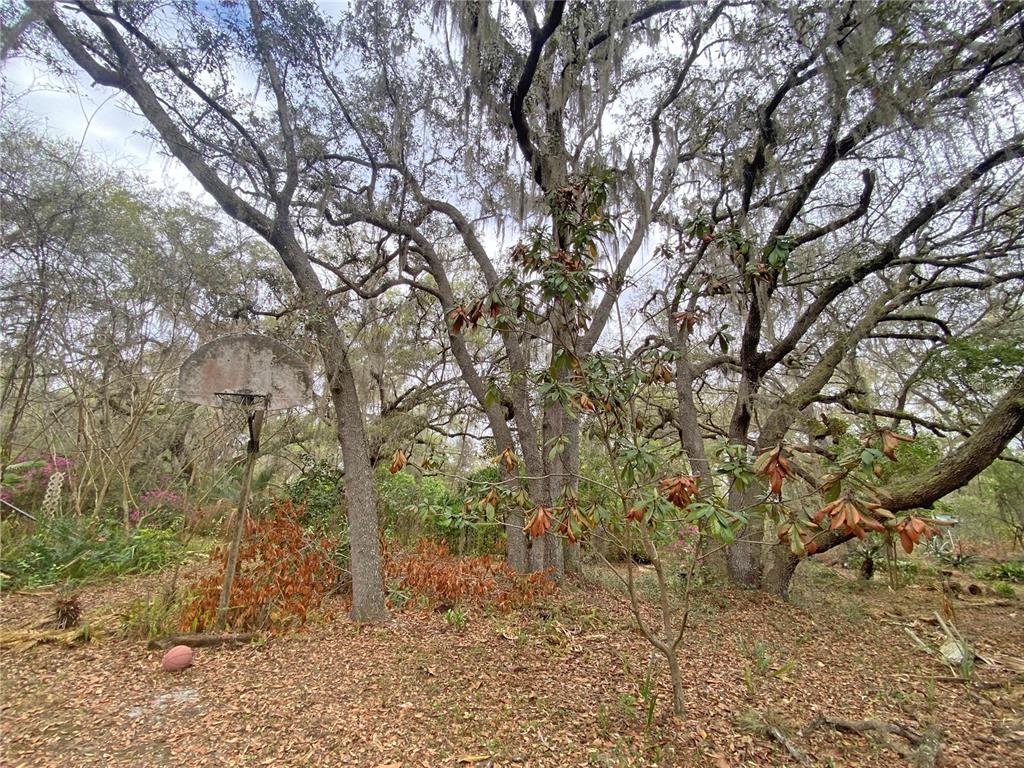 119 Twin Lakes Road Hawthorne, FL 32640 - Photo 62 of 66