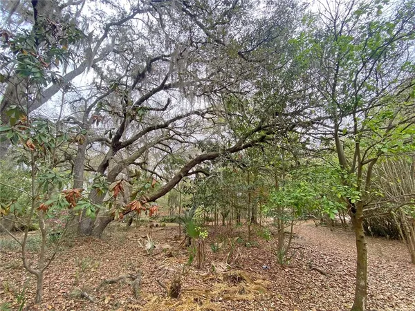 $125,000 | 119 Twin Lakes Road, Hawthorne, FL 32640