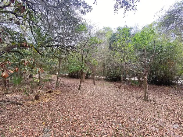 $125,000 | 119 Twin Lakes Road, Hawthorne, FL 32640