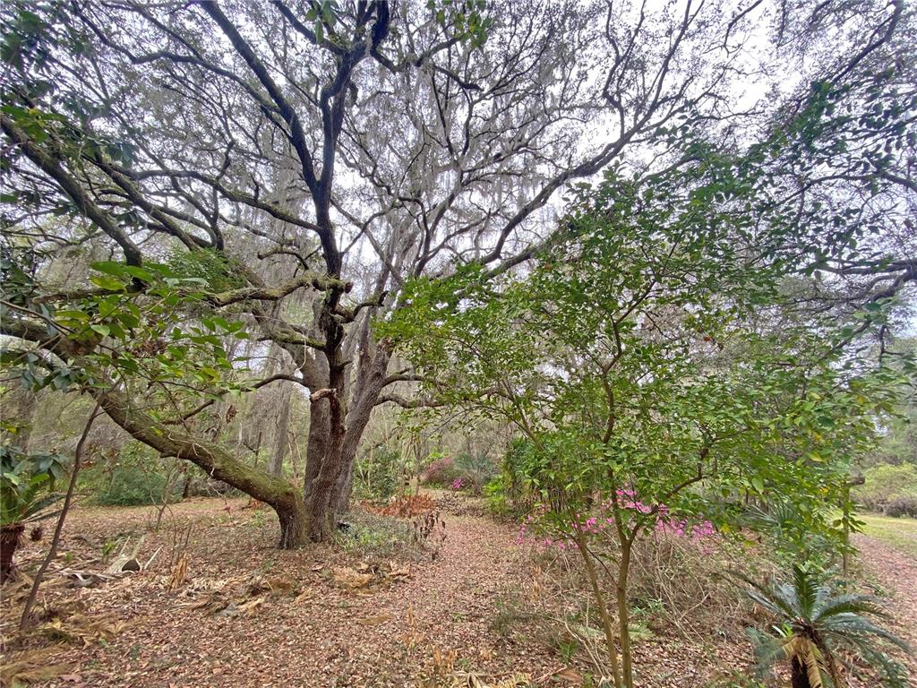 119 Twin Lakes Road Hawthorne, FL 32640 - Photo 7 of 66 a view of an outdoor space with yard