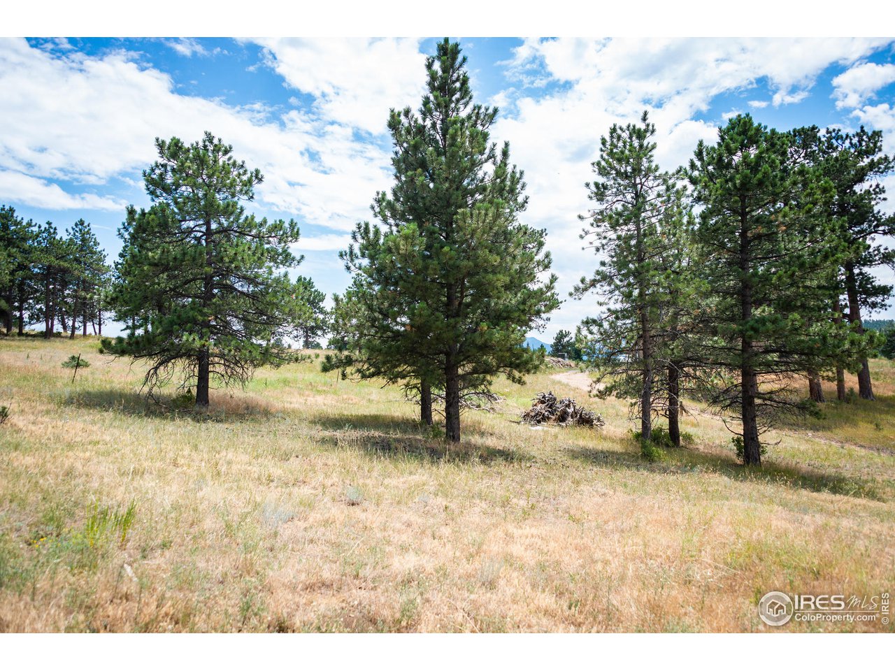 877 Continental View Road Evergreen, CO 80439 - Photo 12 of 30 Gallery Image 12