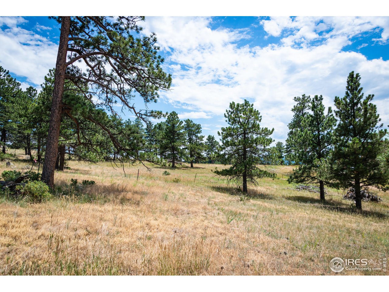 877 Continental View Road Evergreen, CO 80439 - Photo 15 of 30 Gallery Image 15