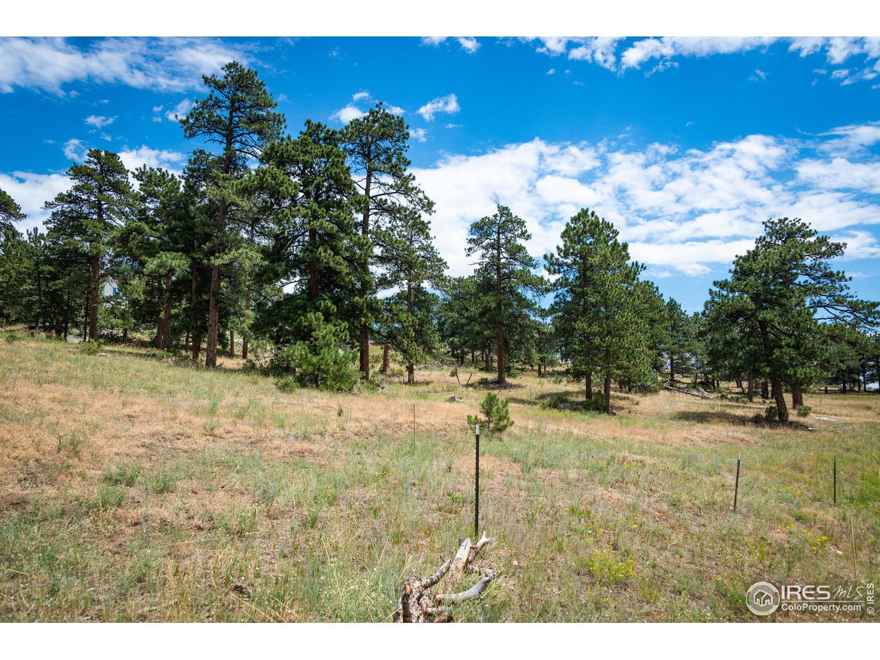 877 Continental View Road Evergreen, CO 80439 - Photo 22 of 30 Gallery Image 22