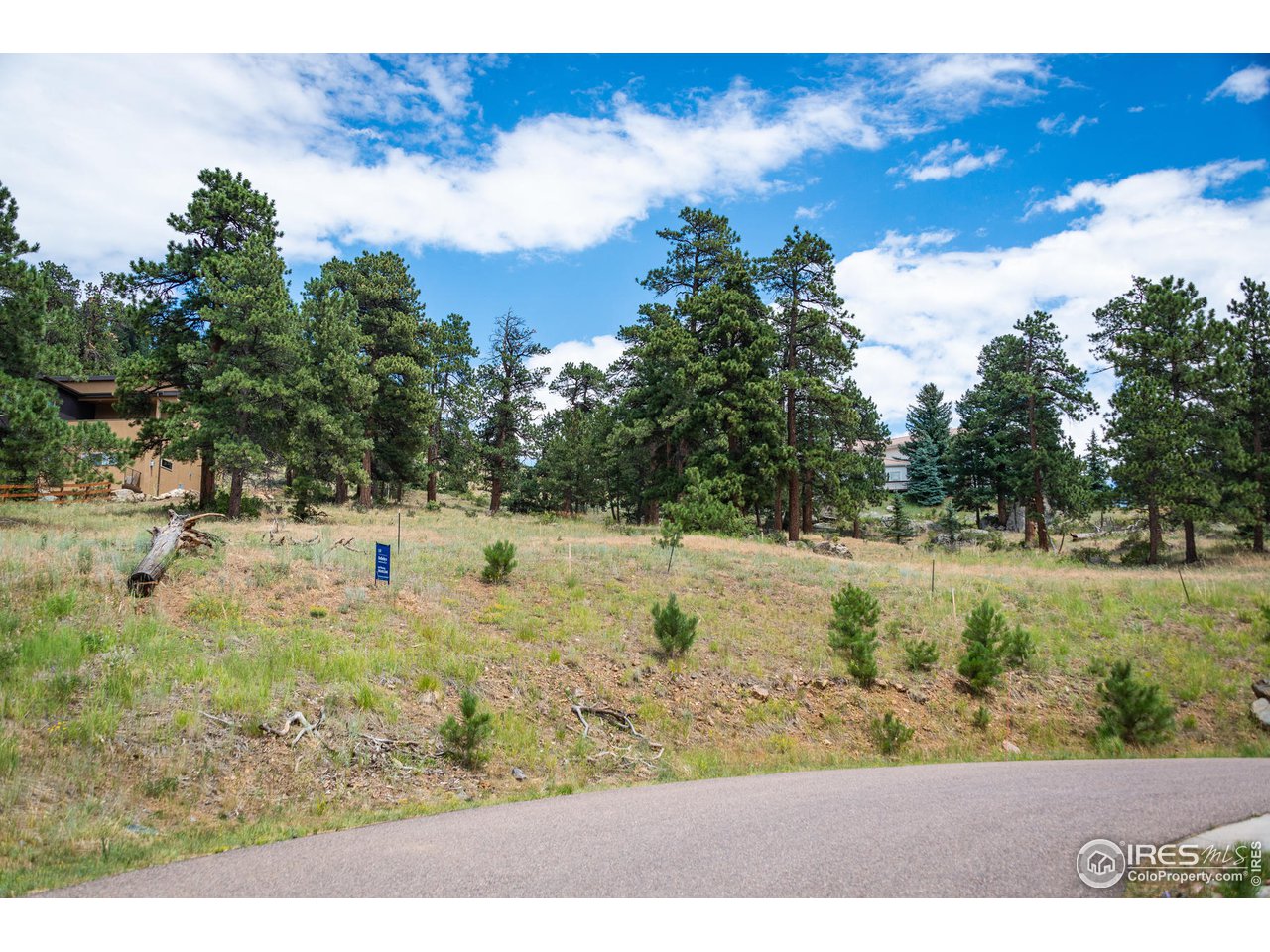 877 Continental View Road Evergreen, CO 80439 - Photo 24 of 30 Gallery Image 24