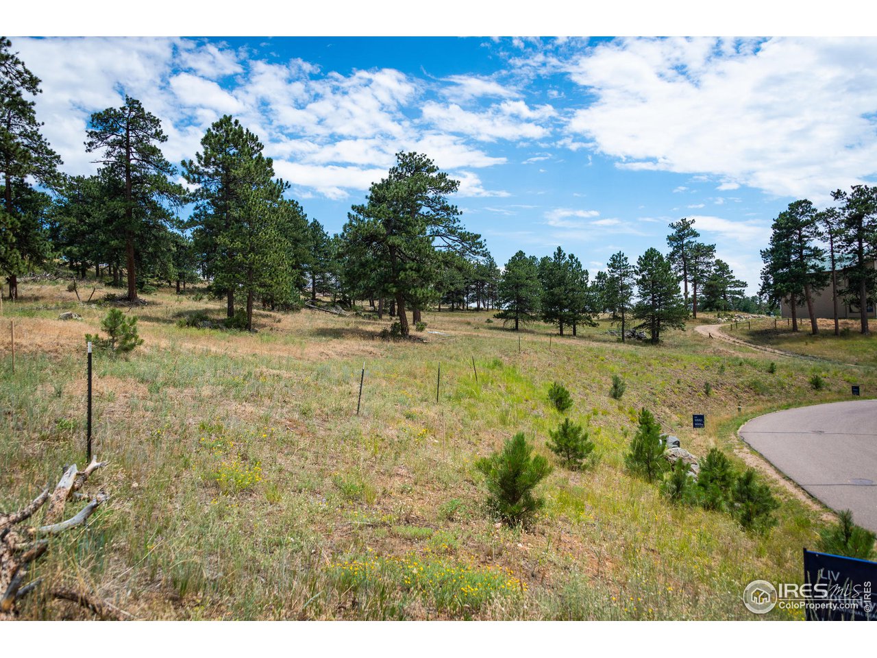 877 Continental View Road Evergreen, CO 80439 - Photo 25 of 30 Gallery Image 25