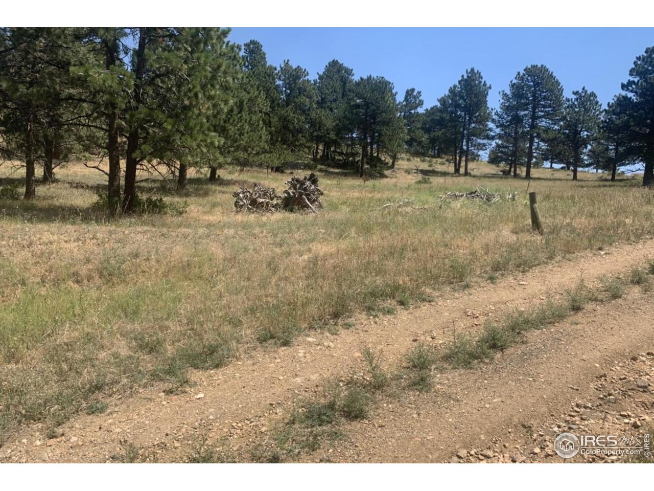 877 Continental View Road Evergreen, CO 80439 - Photo 4 of 30 Gallery Image 4