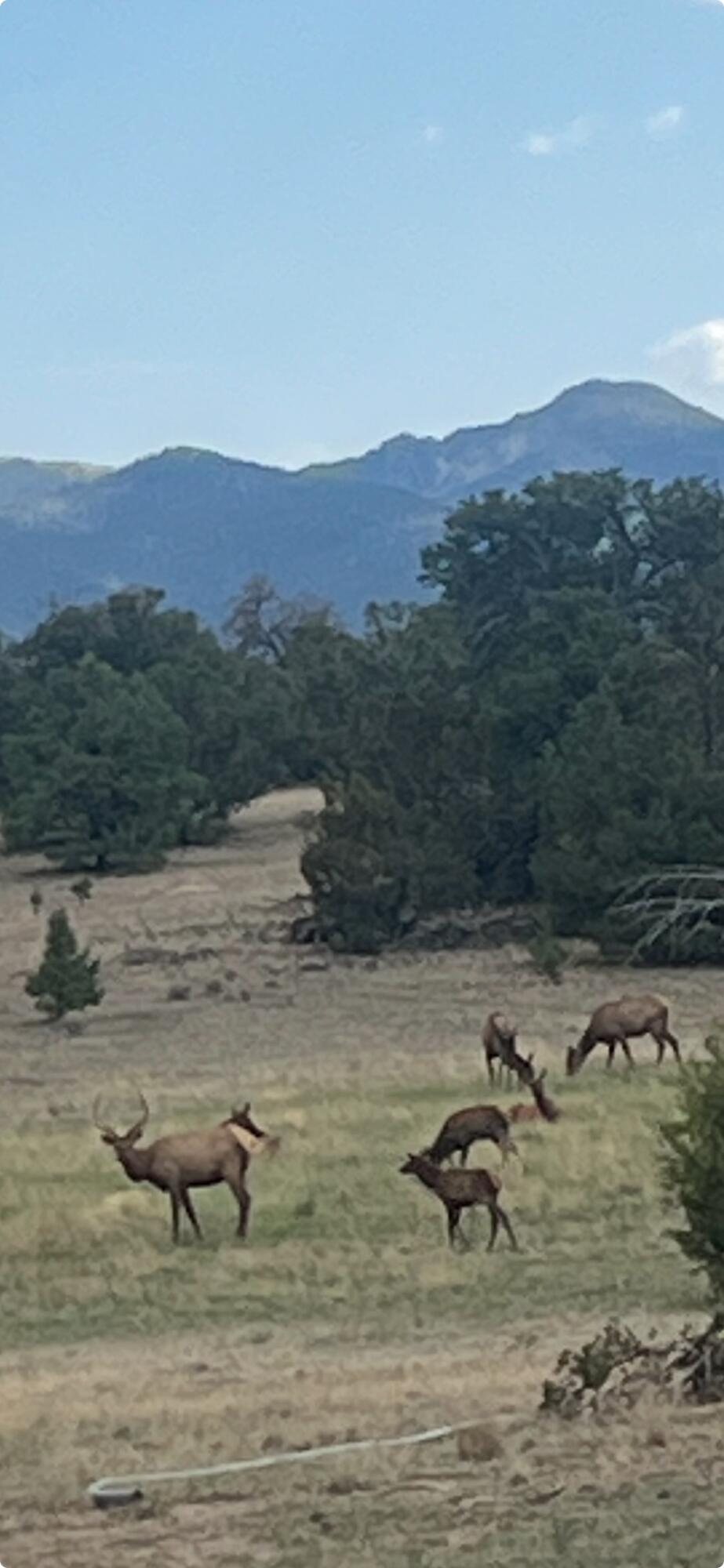 17 Jackass Lane Datil, NM 87821 - Photo 21 of 39 Gallery Image 21