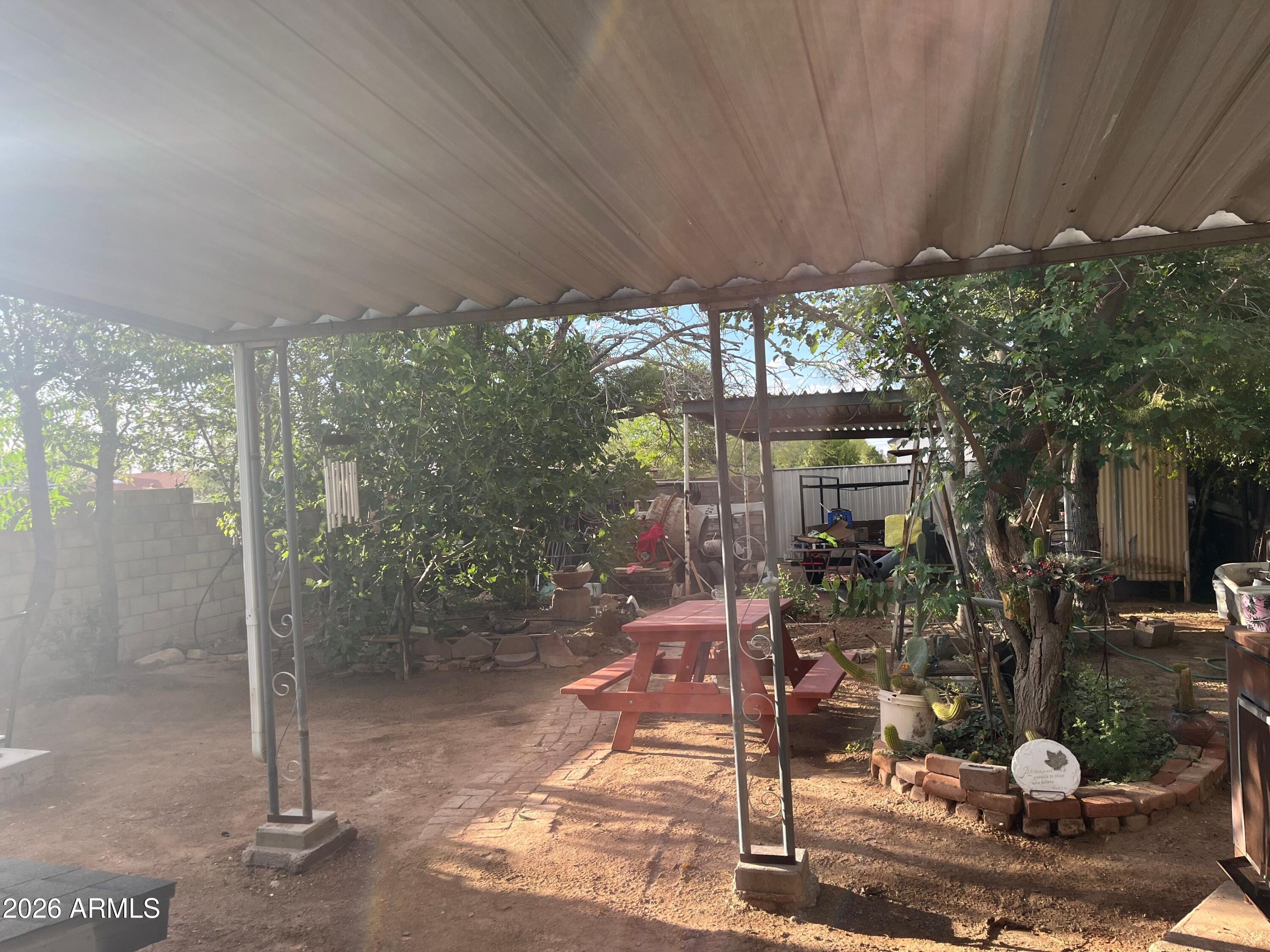 920 East 19th Street Douglas, AZ 85607 - Photo 15 of 16 Backyard