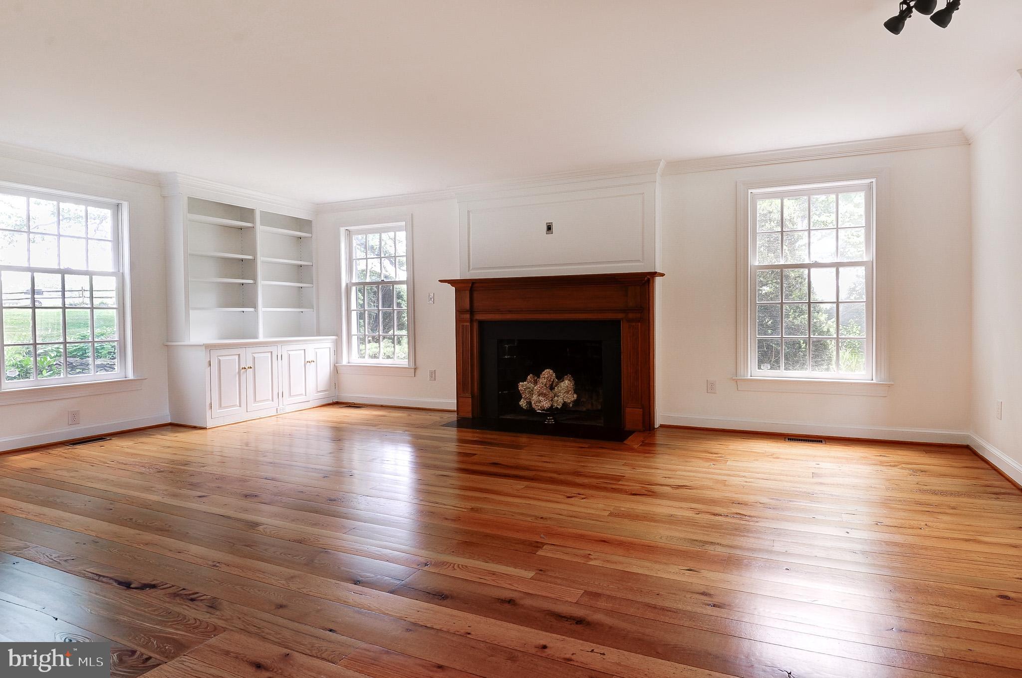 20760 Unison Road Round Hill, VA 20141 - Photo 14 of 47 Living Room /Family Room Decorative Fireplace