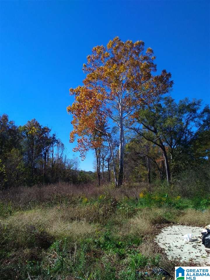 2012 Powder Plant Road McCalla, AL 35111 - Photo 16 of 33 Gallery Image 16
