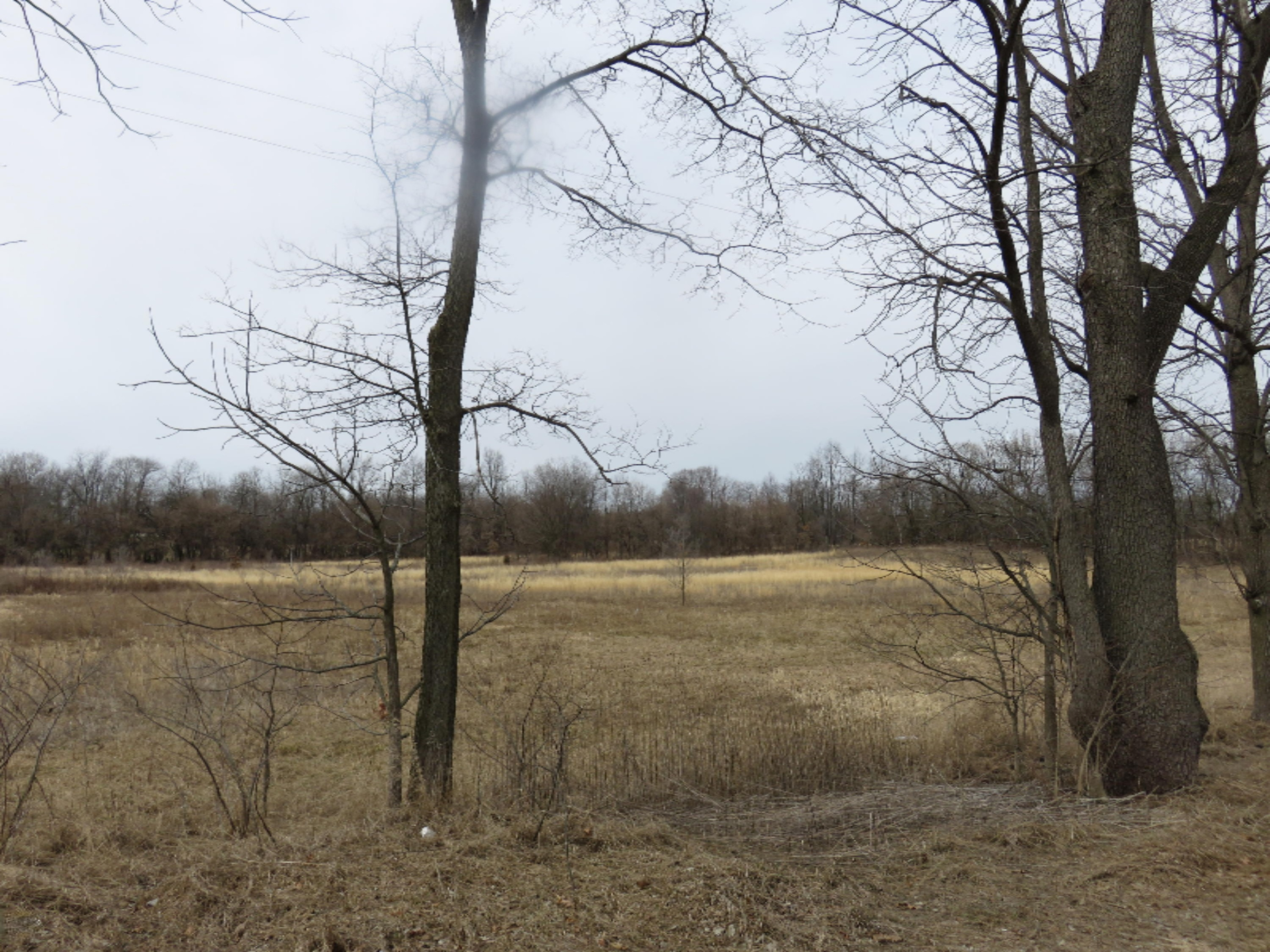 Lot F Points Road Edwardsburg, MI 49112 - Photo 2 of 2 2015-03-19 00.51.45.jpg