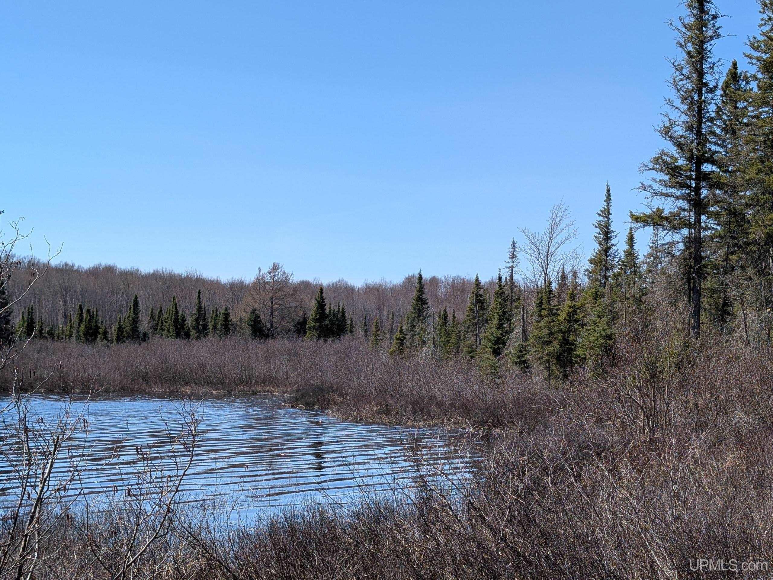 8-acres East Cable Lake Road Crystal Falls, MI 49920 - Photo 2 of 20