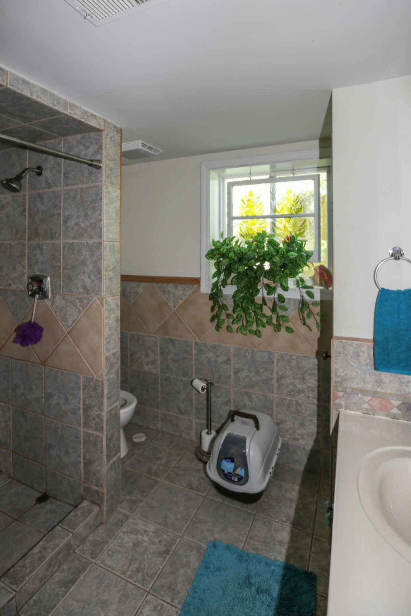 10572 North Federal Road Howard City, MI 49329 - Photo 11 of 17 downstairsbath