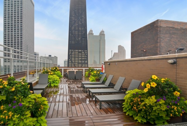 260 East Chestnut Street, Unit 3405 Chicago, IL 60611 - Photo 20 of 22
