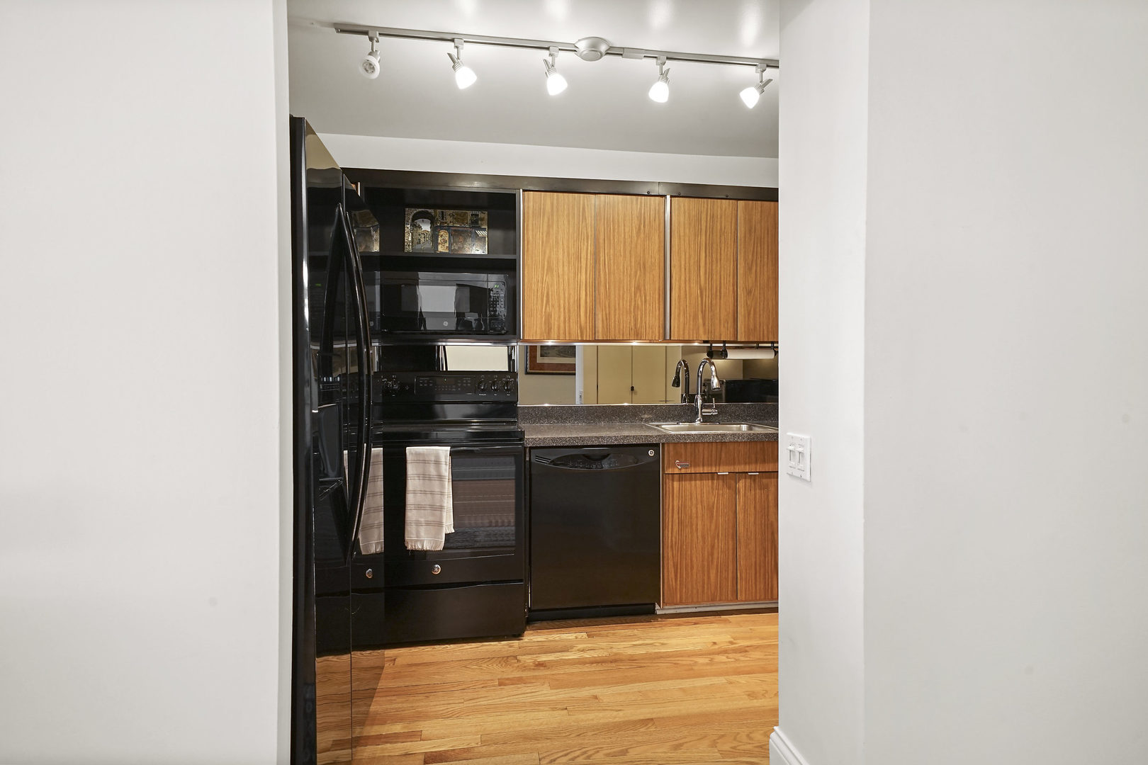 260 East Chestnut Street, Unit 3405 Chicago, IL 60611 - Photo 4 of 22