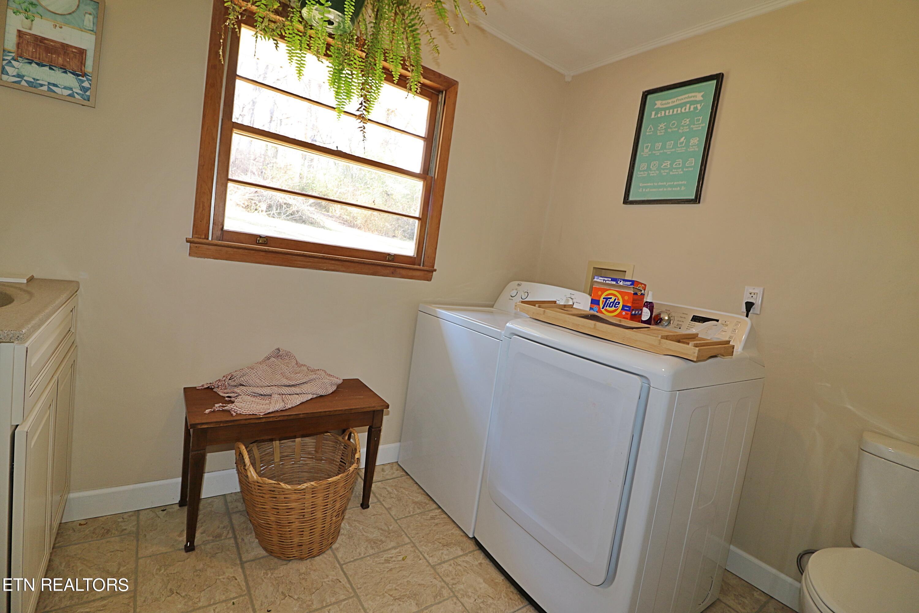 8237 Collier Road Powell, TN 37849 - Photo 28 of 47 094A5759