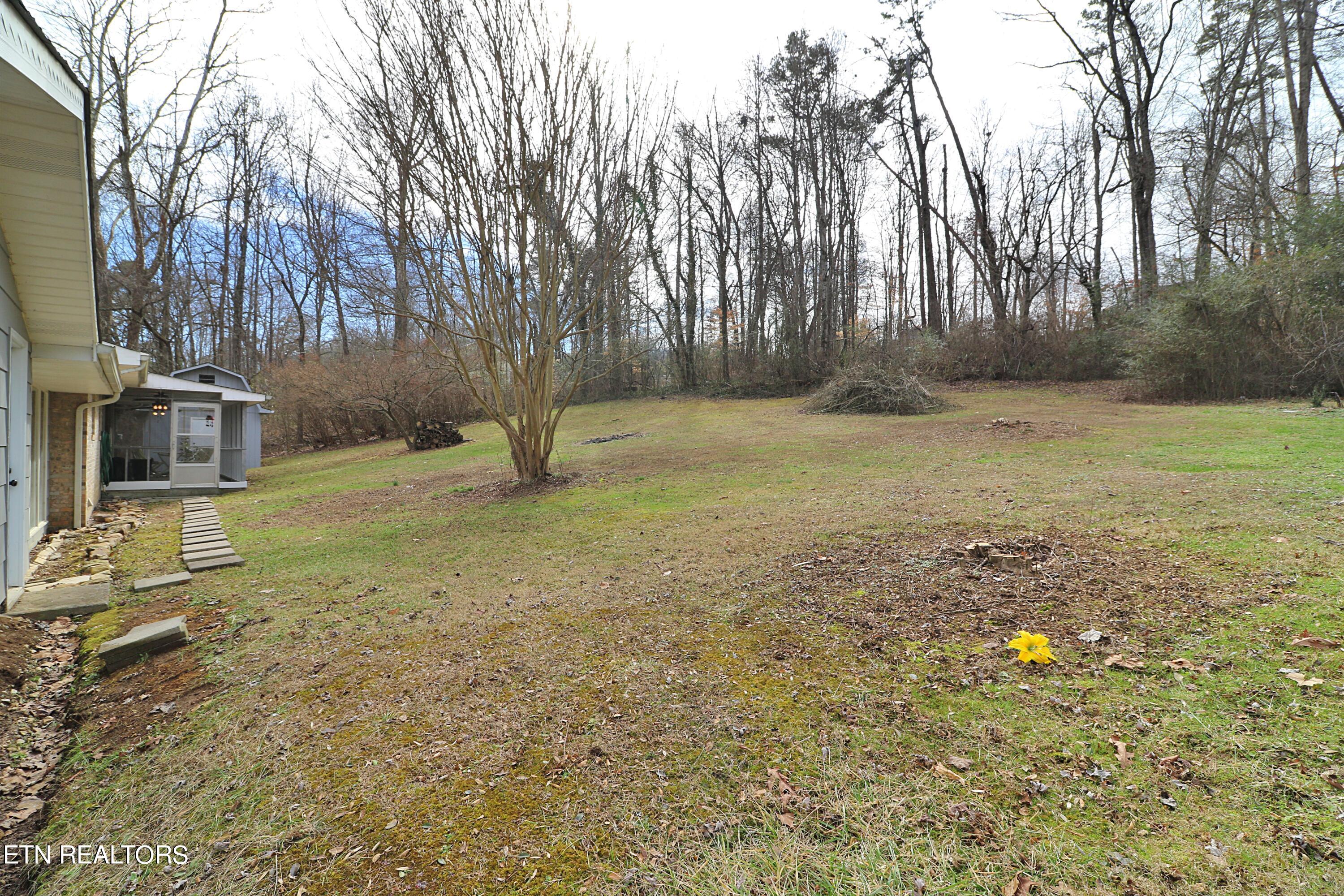 8237 Collier Road Powell, TN 37849 - Photo 45 of 47 094A5792