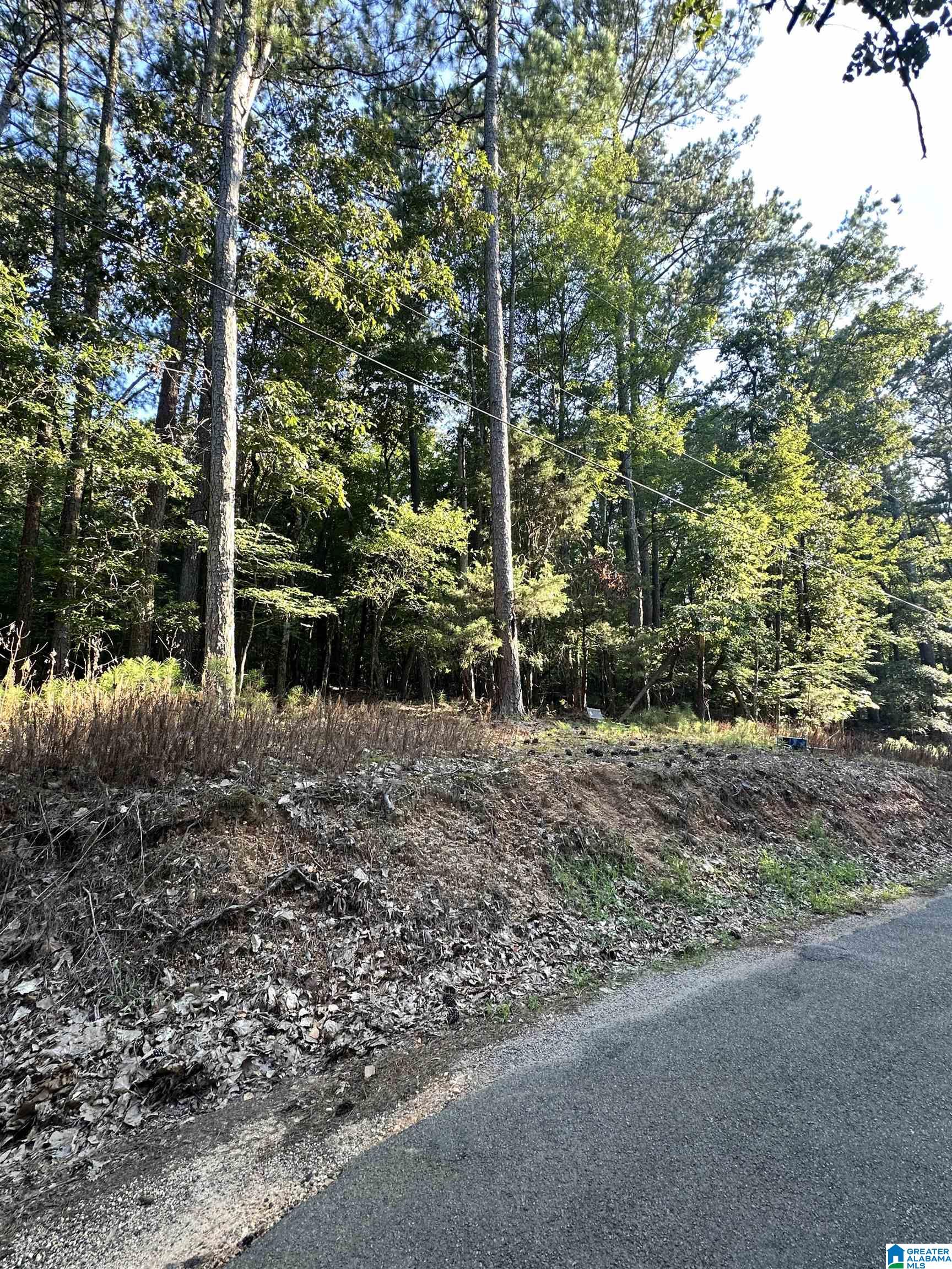 500 Black Acres Road, Unit 27 Cropwell, AL 35054 - Photo 21 of 25